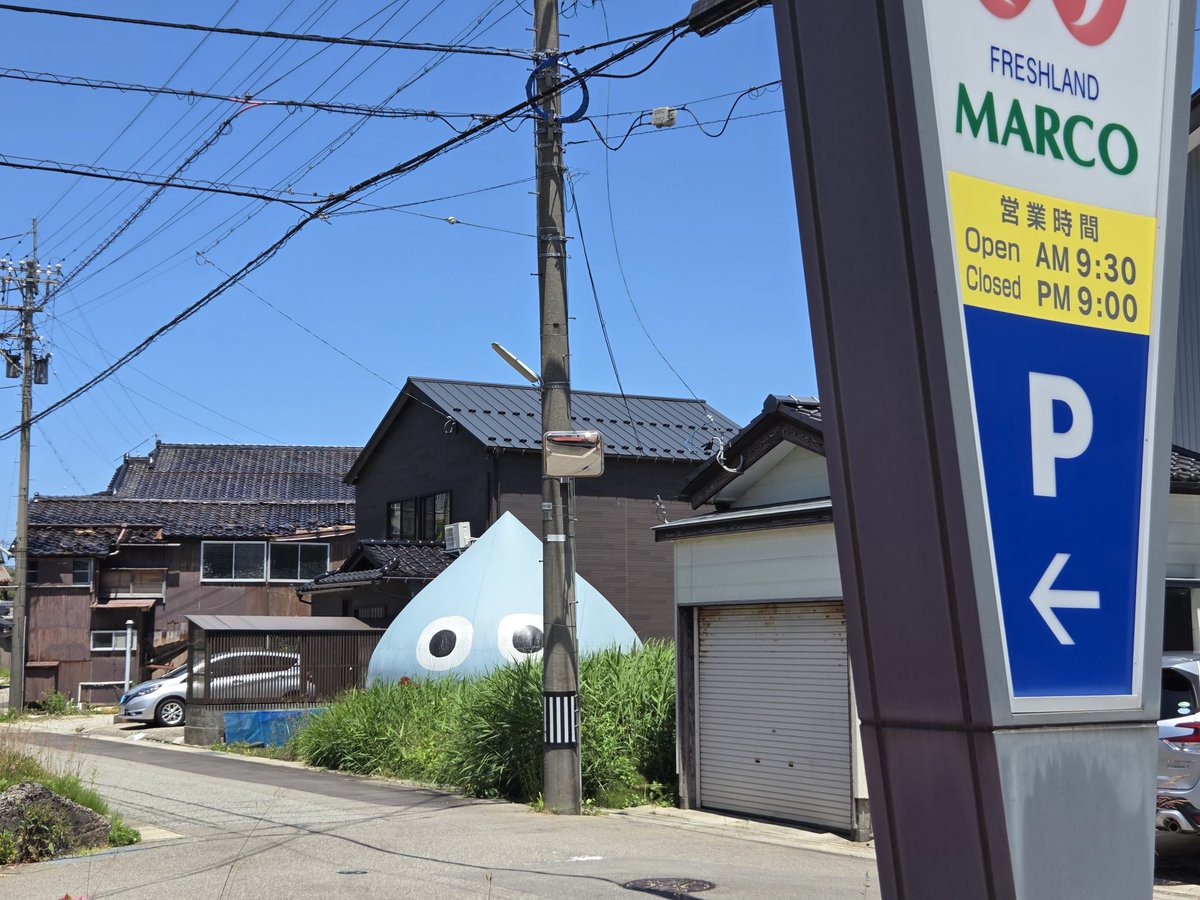 odekakehokuriku's tweet photo. 輪島市のマルコーさん近くにスライムがいるとのことで現地確認へ。

いっ居たっ！しかもこっちを見てる！ https://t.co/IaCmf3x6Sf