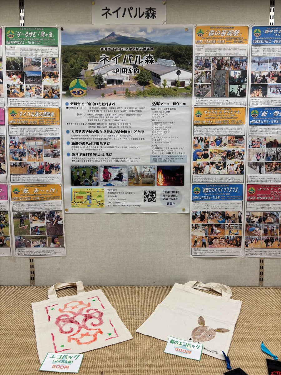 doumincollege's tweet photo. まなびの広場 廊下展示ケース：ネイパル紹介展示 開催中
道立の青少年体験活動の場「ネイパル」の魅力を、パネルや写真でわかりやすく紹介しています。
📅展示期間：5月29日〜6月26日 https://t.co/D6fRNbznSt
