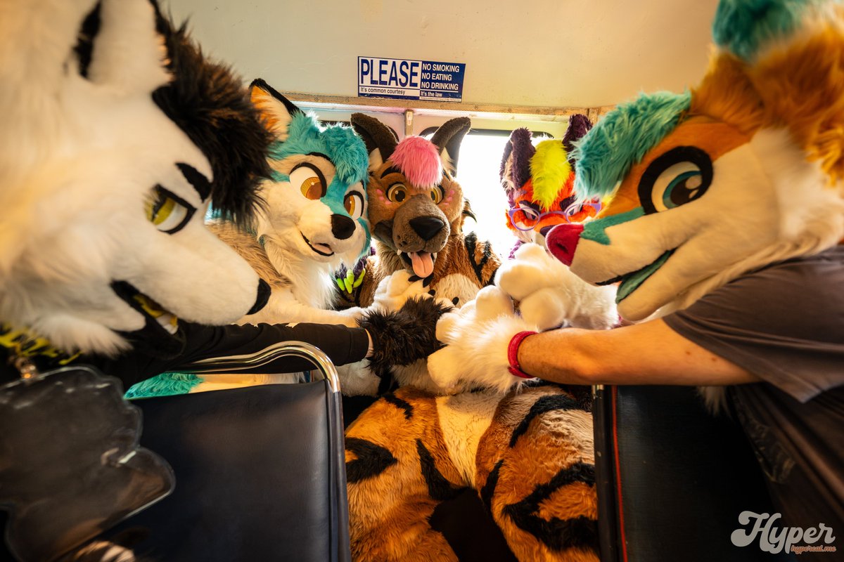 yeenexpress's tweet photo. ℹ️ The Zootopia Transit Authority (ZTA) is pleased to announce the introduction of the "Cuddle Class"

Proceed to the rear end of the train for free cuddles, belly rubs, and hugs :3🚂

#FursuitFriday #Fursuit #Trains 
📸 @jordanfelle 
📍 Baltimore Streetcar Museum https://t.co/3Zi4ucHi9z