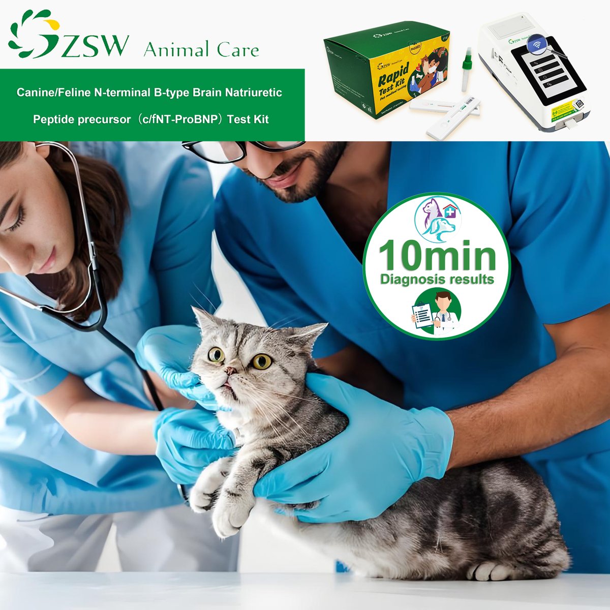 BiotechJz82014's tweet photo. 🐾According to the World Animal Federation:
One in 10 aging pets has heart disease.Common pet breeds with congenital heart disease include:

🐱British shorthair cat, American shorthair cat, Ragdoll cat, Scottish fold cat, Sphynx cat, etc.;
#vet #petmedical #animalmedicine #bnp https://t.co/Gq2VOTfWUP