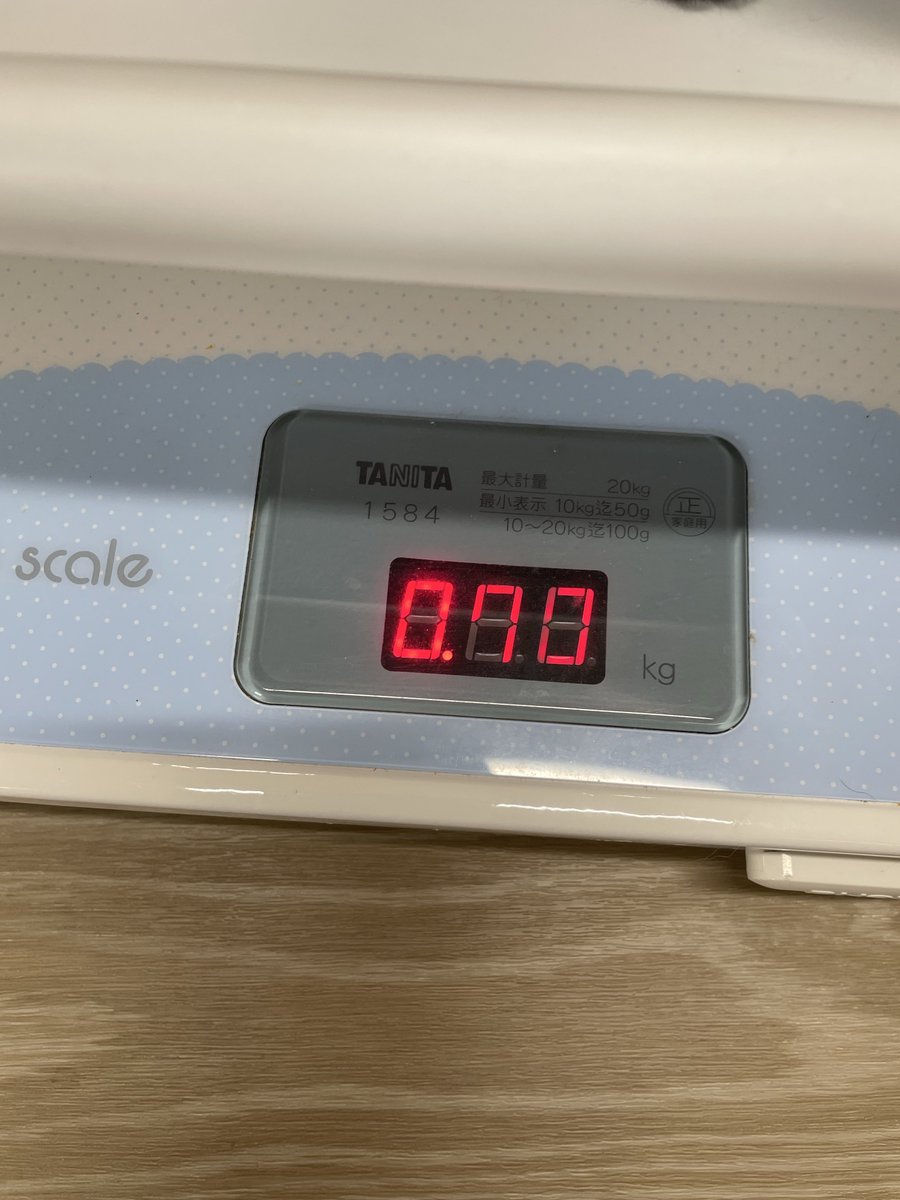 rankago2nyan's tweet photo. #保護猫  #保護猫親子 

子猫ズの体重測定🐾🐾

茶白くん 0.95kg
M子ちゃん 0.7kg

茶白くんはウェットもカリカリもたべてるので大きいꉂ🤣𐤔
生後46日 https://t.co/6cuHs4SIiA