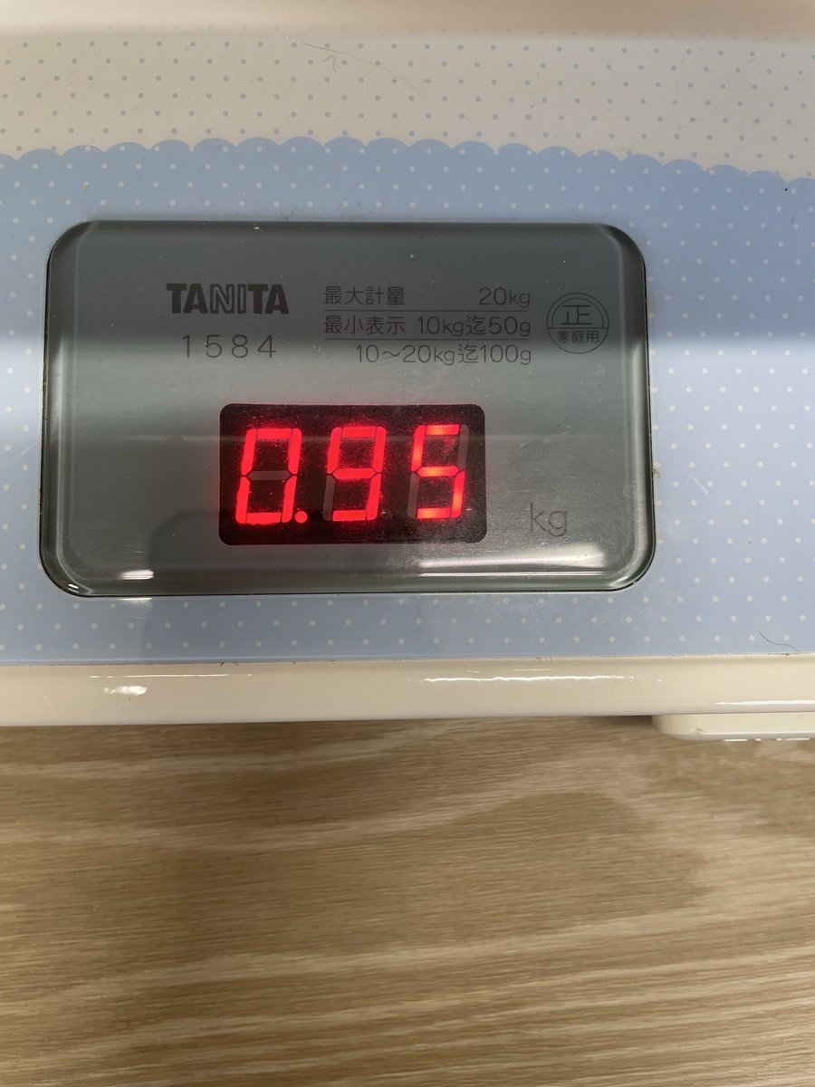 rankago2nyan's tweet photo. #保護猫  #保護猫親子 

子猫ズの体重測定🐾🐾

茶白くん 0.95kg
M子ちゃん 0.7kg

茶白くんはウェットもカリカリもたべてるので大きいꉂ🤣𐤔
生後46日 https://t.co/6cuHs4SIiA