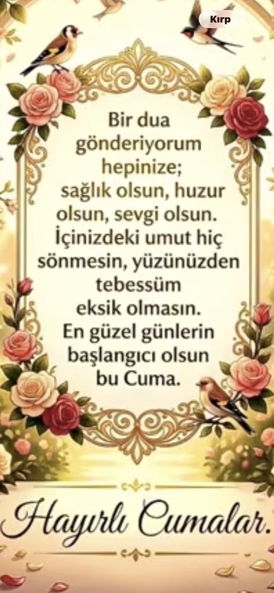 Ayseli Dogan tweet media