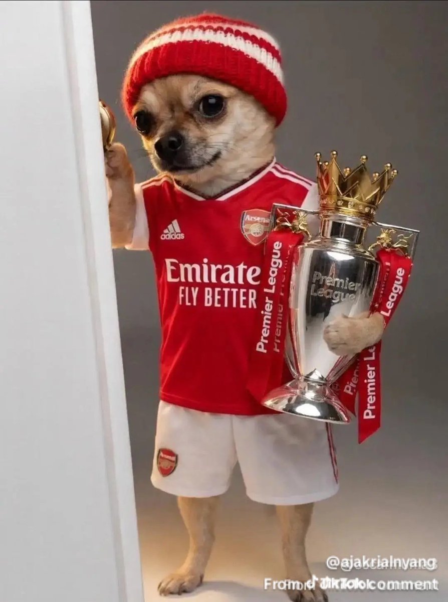 dest_tonny's tweet photo. @Arsenal Hope I'm not disturbing? https://t.co/ZRIo1qqCk2