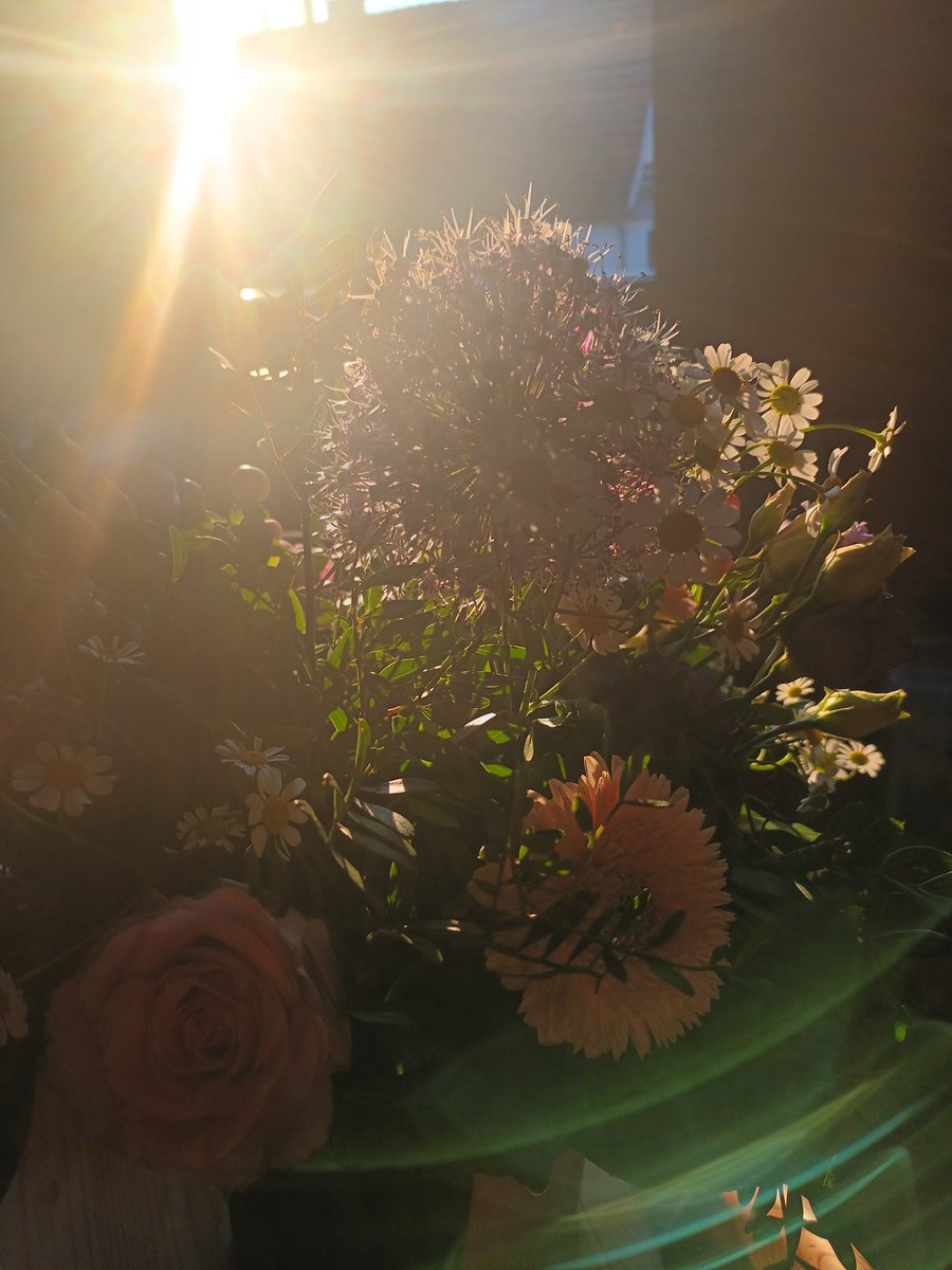 kristallnaach's tweet photo. #Morgensonne🌼#Systemrelevant
#Feierabend🥱☕️kurzer #Frühdienst https://t.co/oRHNjJ5sMS