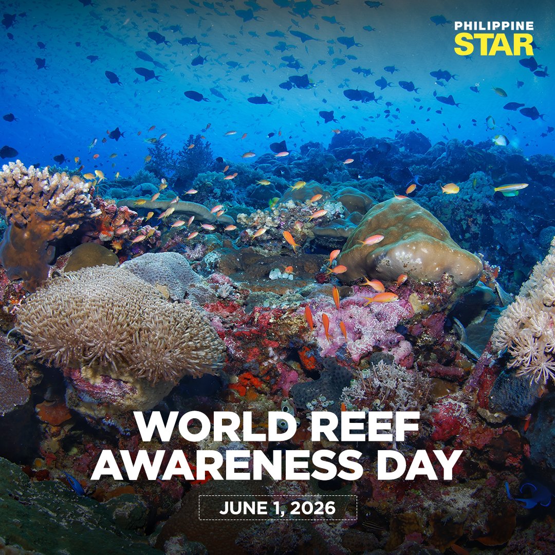 PhilippineStar's tweet photo. Save the seas, protect the coral reefs.🪸 https://t.co/jsEwkIXwgf