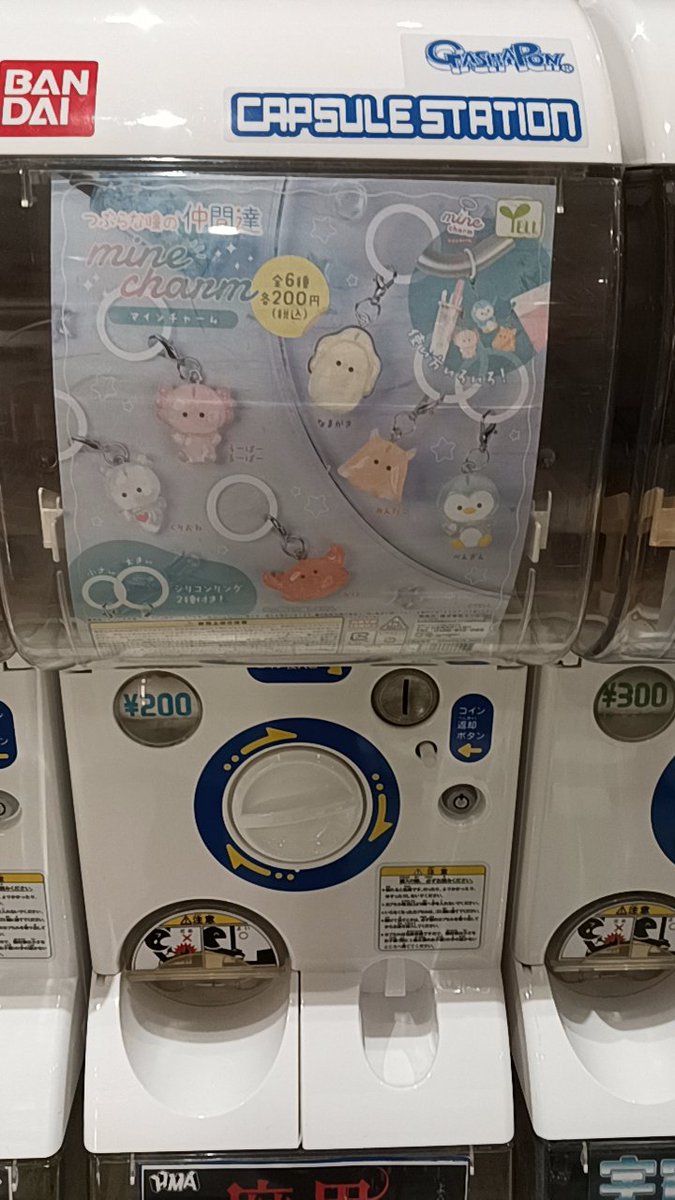 ぺーちゃん tweet media