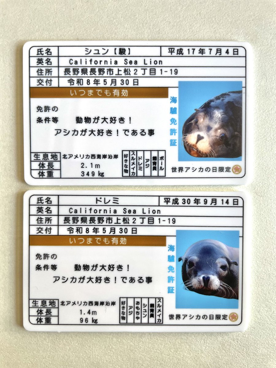 長野市城山動物園【公式】 tweet media