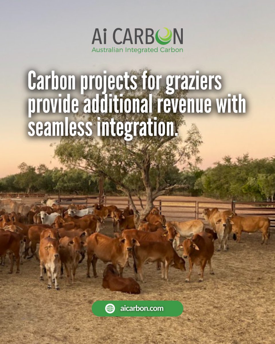 AiCarbonOz's tweet photo. Partnering with graziers to deliver carbon projects that boost productivity and revenue. 🐄

Unlock your property's potential with a tailored approach to sustainability.

📞 1800 418 515
💻 https://t.co/7cCXwW7jCj

#graziers #accu #carbonfarming #regenag #safeguard https://t.co/k6xmtWUo6v