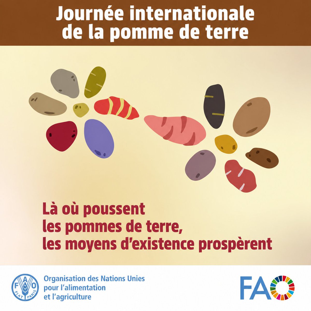 FAOCongo's tweet photo. 🥔 Journée internationale de la pomme de terre
Saviez vous que la pomme de terre soutient les « 4 Better » ? 
🌾 meilleure production
🥗 meilleure nutrition
🌱 meilleur environnement
🤝 meilleure qualité de vie
Un aliment clé pour la sécurité alimentaire et un avenir durable. https://t.co/QzIhn6NpGD