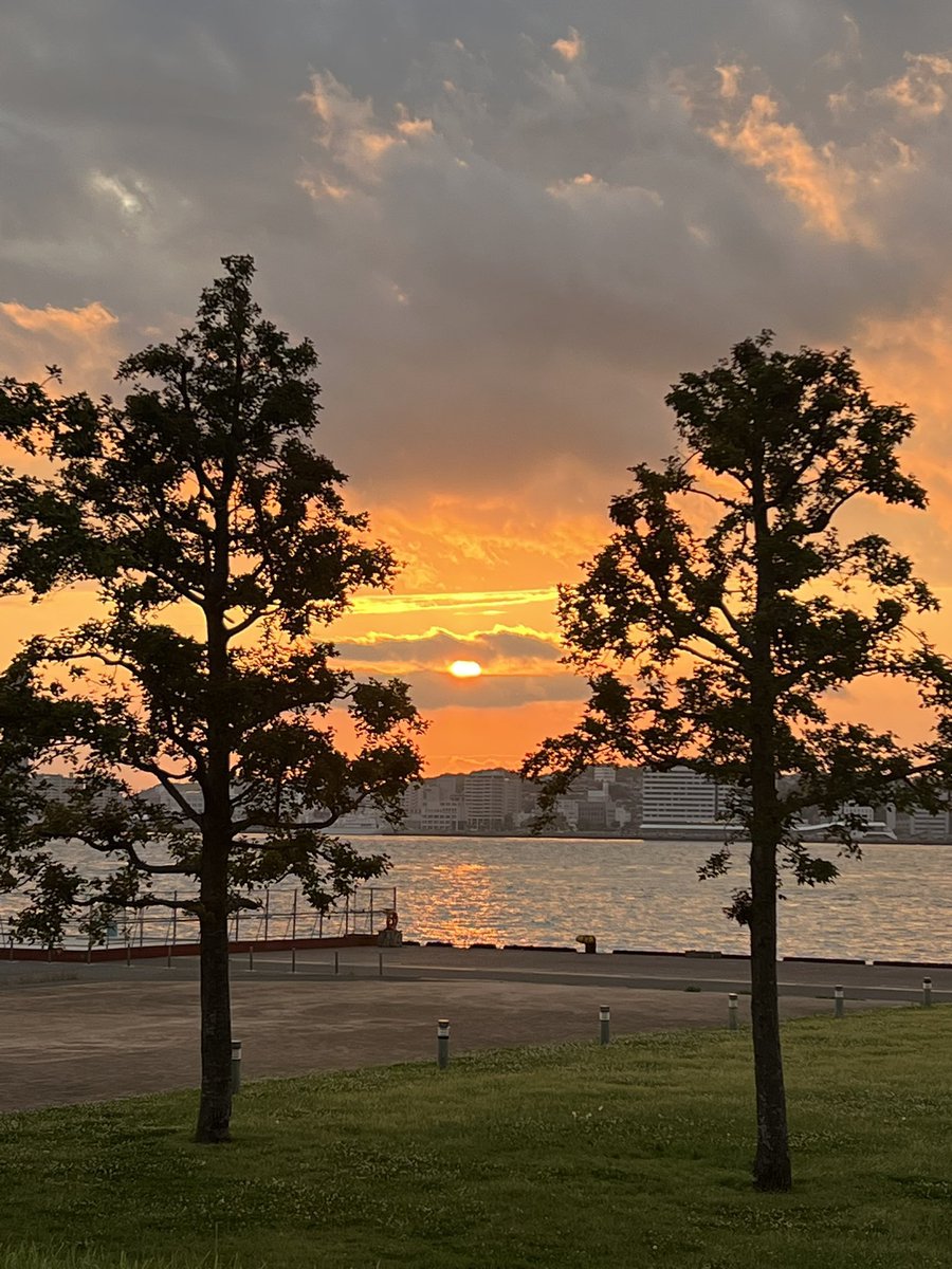 KitakyushuLife's tweet photo. ドラマ『コンビニ兄弟』で話題の門司港⚓️

関門橋を背景に見る夕日も素敵ですが、
海峡ミュージアム裏の芝生も穴場です👀🌅 https://t.co/IYkaPW3zW8