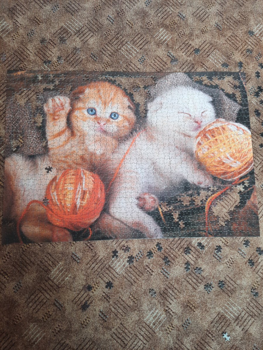 RickFromBelarus's tweet photo. @cinderblooms зачем вы оцифровали мои пазлы в котов... https://t.co/oyMyqT43BF