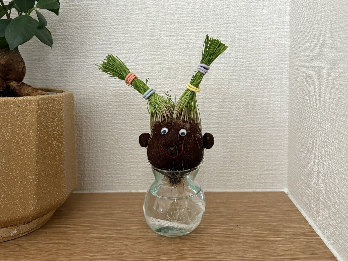 ano626___'s tweet photo. いろんな髪型を楽しめる植物🪴 https://t.co/Xj2BSVjgxI
