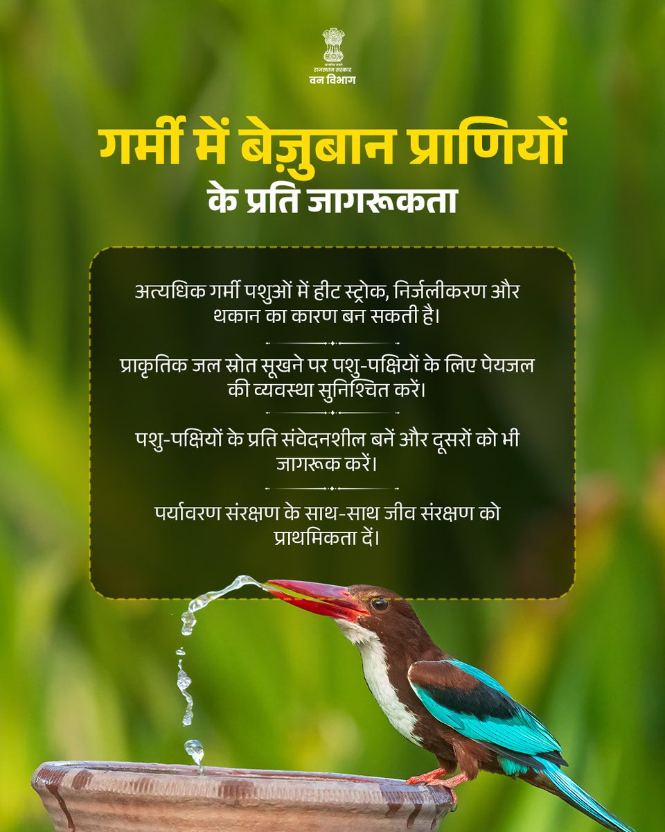 Rajasthan Forest Department tweet media