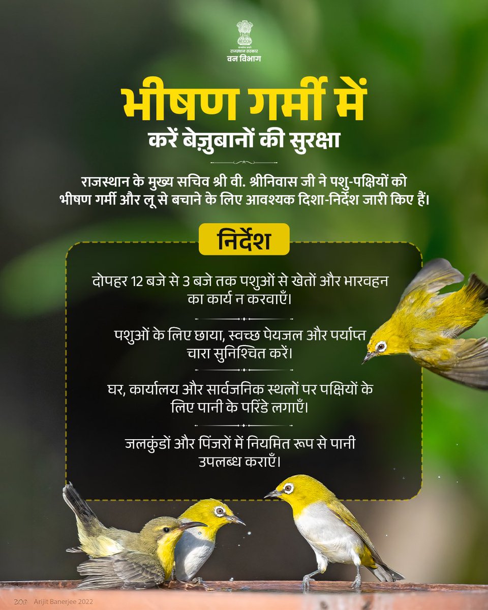 Rajasthan Forest Department tweet media
