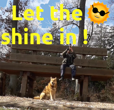 TimKraef's tweet photo. Let the shine in! 🎺☀️ Naturakustik auf der Riesenbank. Der Hund sichert die Stellung, die Trompete liefert den Schall.

#Trumpet #Dog #Forest #Music #BigONE #Trompete #Hund #Wald #Nature https://t.co/qzIV4yW1yJ