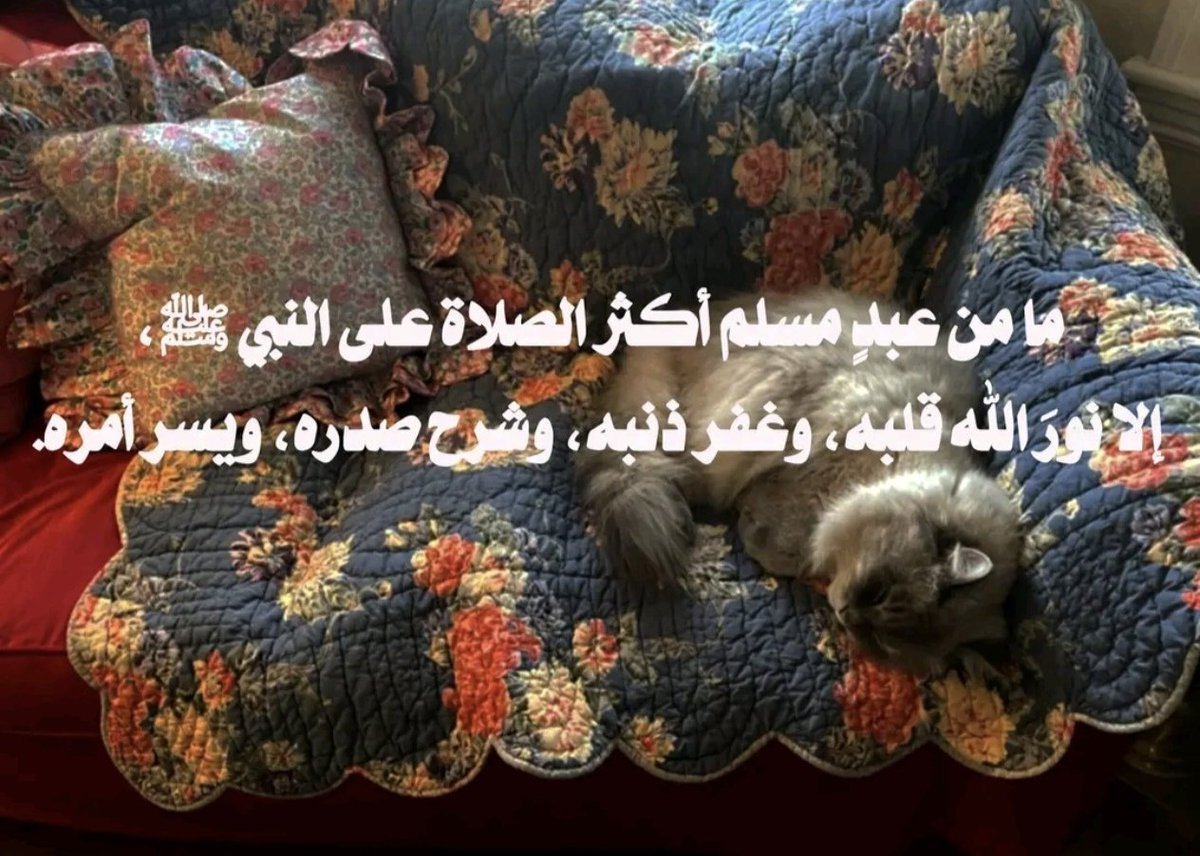 NosaybaYousef's tweet photo. https://t.co/y7qLkOETPm