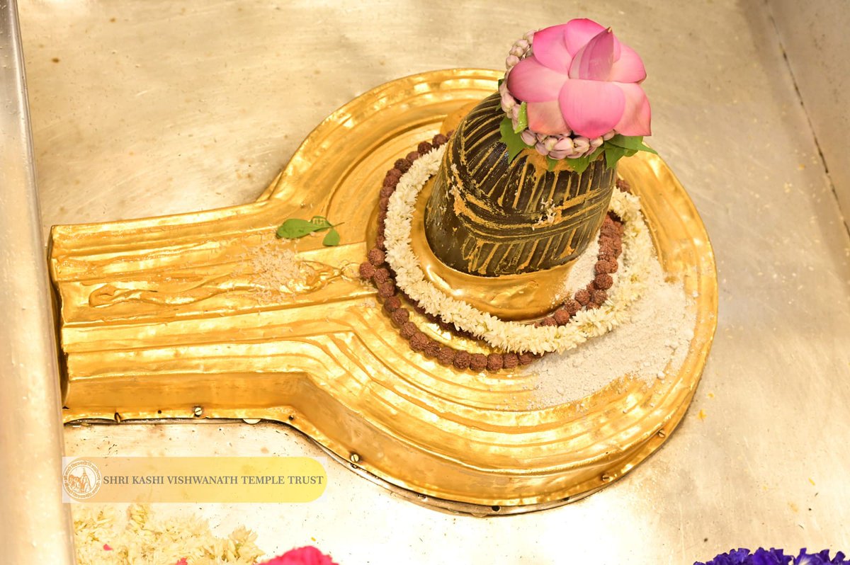 Shri Kashi Vishwanath Temple Trust tweet media