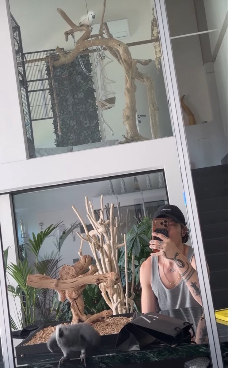 ☾marti, ADVDM tweet media