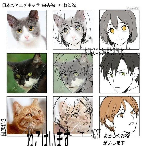 LordOmega6's tweet photo. @Mangoloverdron you're an idiot, all anime characters are cats https://t.co/qJdH4sciMq