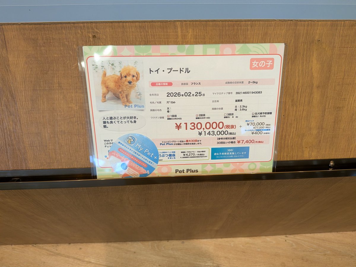 たびと tweet media