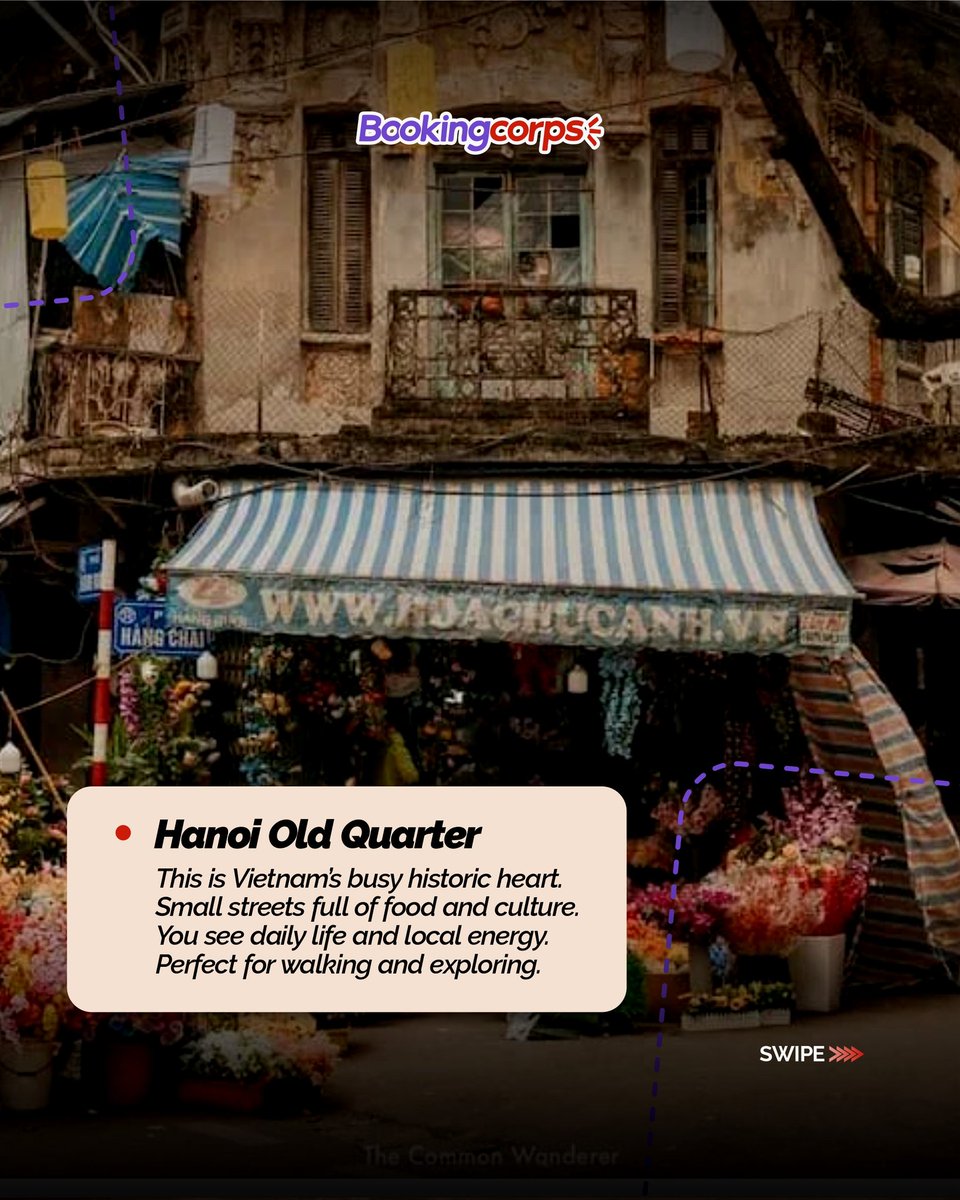 bookingcorps's tweet photo. 😃 ✈️ 🇻🇳 Thinking of your next unforgettable travel experience? Vietnam offers beauty, culture, and adventure in one destination. From peaceful bays to vibrant cities, every moment is worth it.

#VietnamTravel #AsianTour #SummerTour #Adventure #BookingCorps https://t.co/QCbpeesXTR