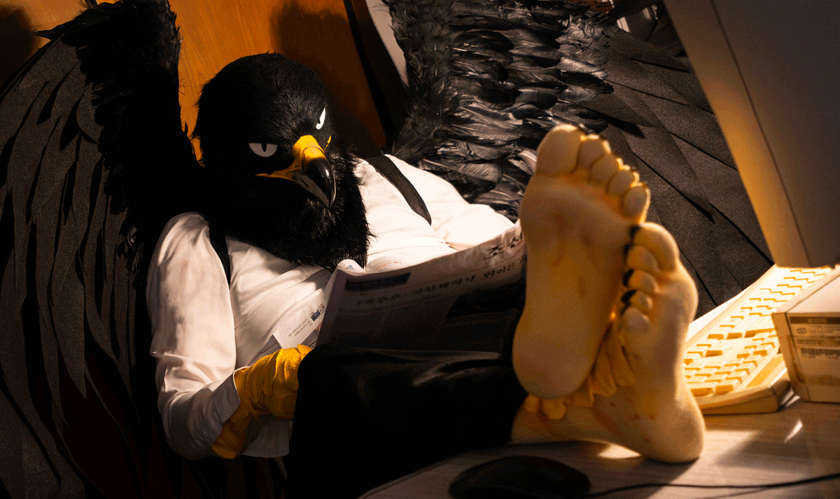 blacksea227's tweet photo. 독수리 보스는 야근 중🦅
#FursuitFriday https://t.co/iHQk3OmUsU