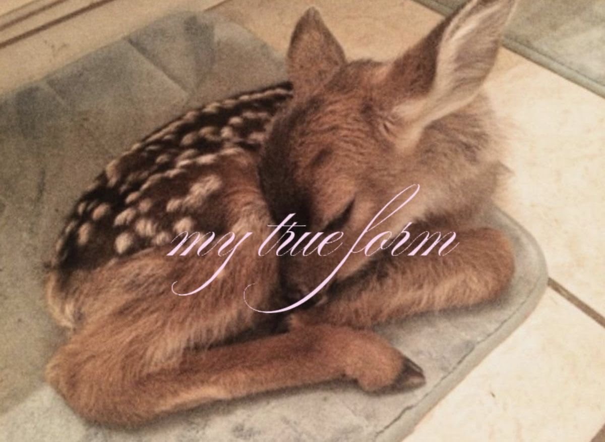 ଘ(੭*ˊᵕˋ)੭* ੈ♡‧₊˚ tweet media