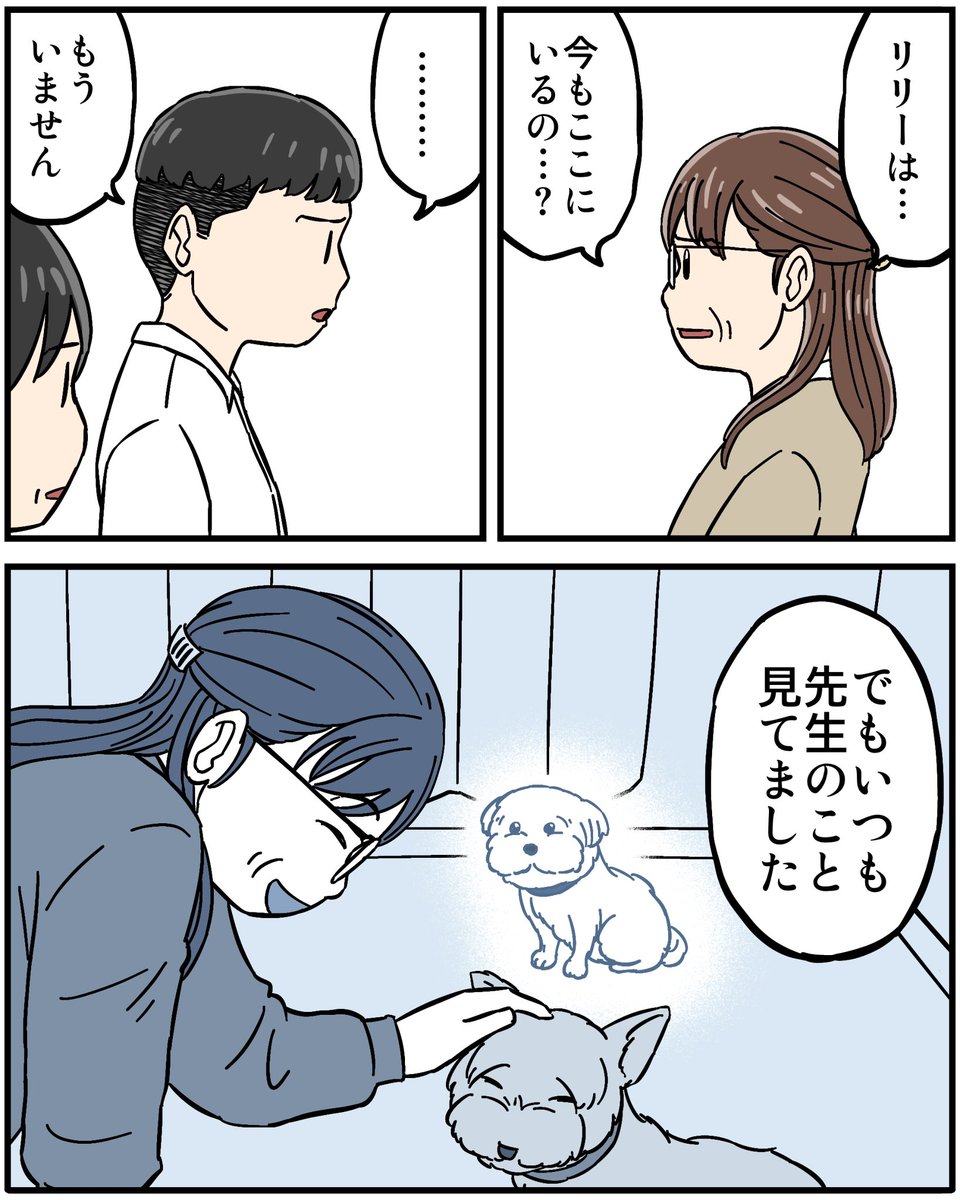 先生の白い犬3/3 