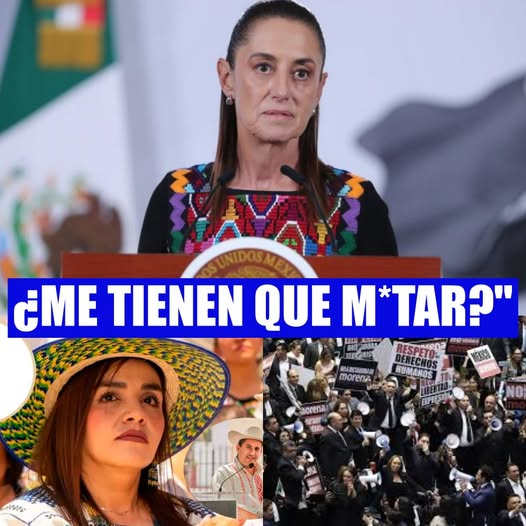 constanza luna tweet media