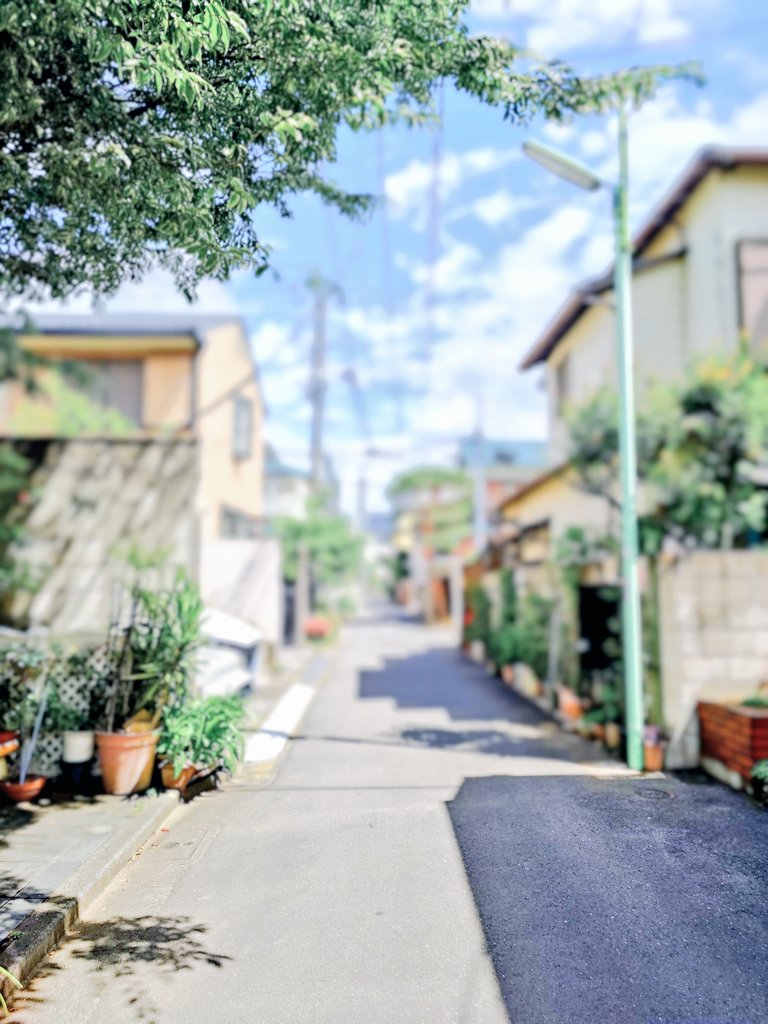 hiruminakongwon's tweet photo. デジタル写真集 P6〜9 . P104〜107 . 
ブレザー姿のふたりと手繋ぎの道

(ｺﾓｻﾝ、ぬくｻﾝ、宿題ﾃﾞｷﾏｼﾀﾖ‼️😆)
#ytv未成年  #本島純政 #上村謙信
#水無瀬仁 #蛭川晴喜 
#ytv未成年ロケ地巡り 
#ytv未成年聖地巡礼 #OurYouth https://t.co/YgCVrFOnPv