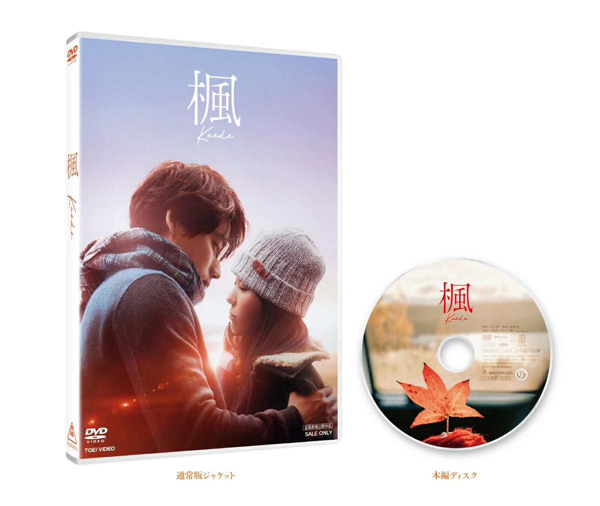 福士蒼汰　DVD　Blu-ray　カレンダー　クリアファイル　生写真　グッズ 🎉HAPPY BIRTHDAY🎉 本日5/30は #福士蒼汰 さんのお誕生日❤️ ＼ 福士