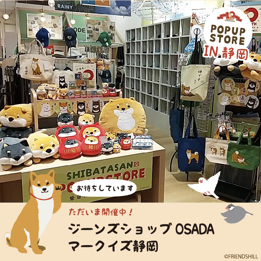 静岡ですか？ 柴田さん10周年企画POPUPSTORE お店の様子をお届け