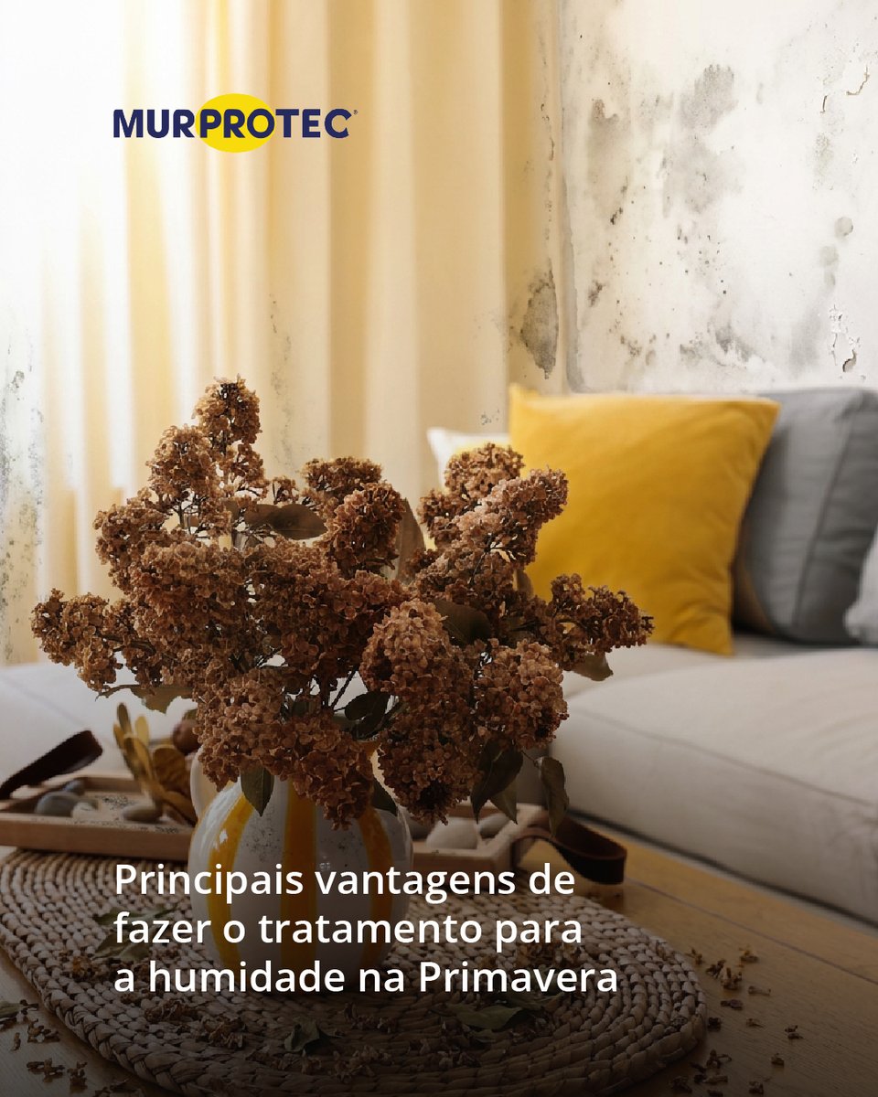 MurprotecPT's tweet photo. Fazer tratamentos de humidade na primavera, especialmente quando o tempo começa a ficar mais seco e quente, traz várias vantagens práticas e duradouras. Não é só uma questão de conforto, é também uma decisão inteligente para proteger a casa. https://t.co/9y9p80kalf