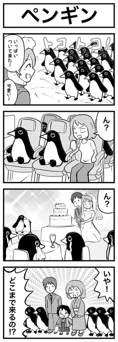 ペンギンのお話
#4コマ #再掲 