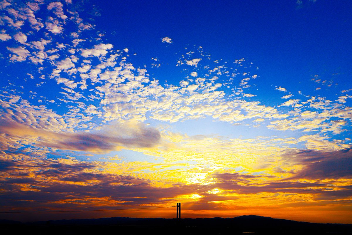 空に青。 tweet media