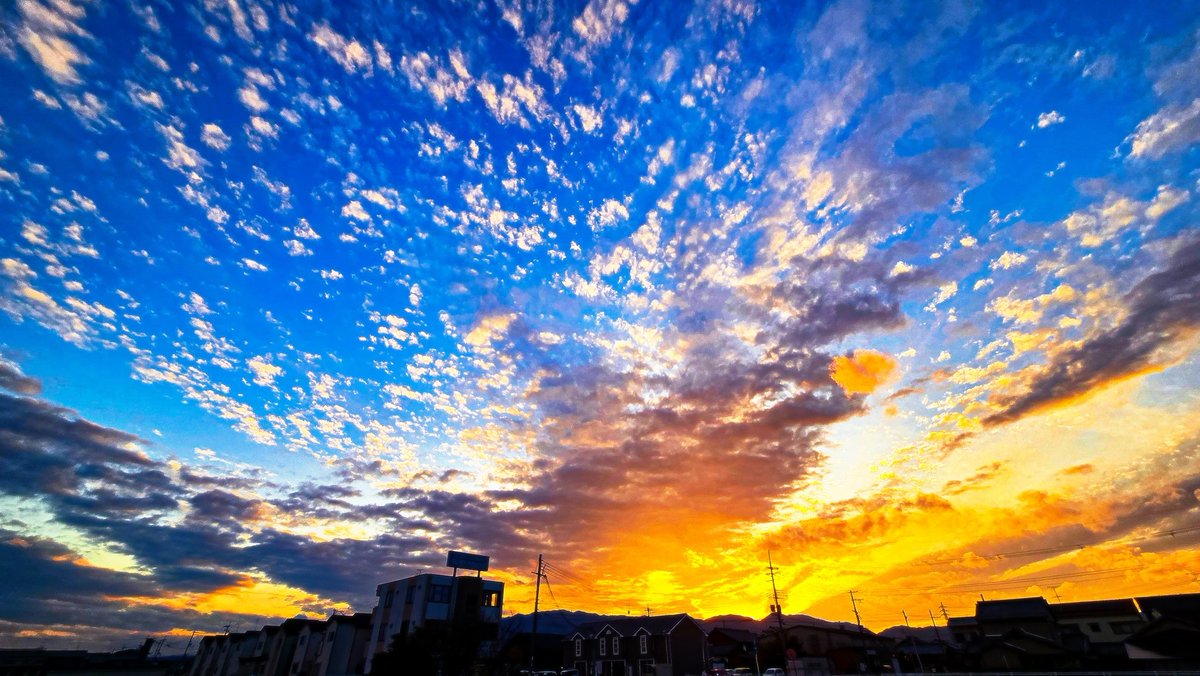 空に青。 tweet media