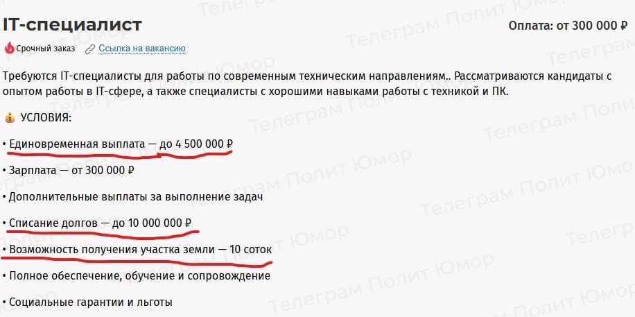 vaala14's tweet photo. Кто сказал, что айти мертво? Это на западе верно, а в России вполне хватает завидных вакансий с достойной зарплатой, пикрил https://t.co/LxnzaOeBqV