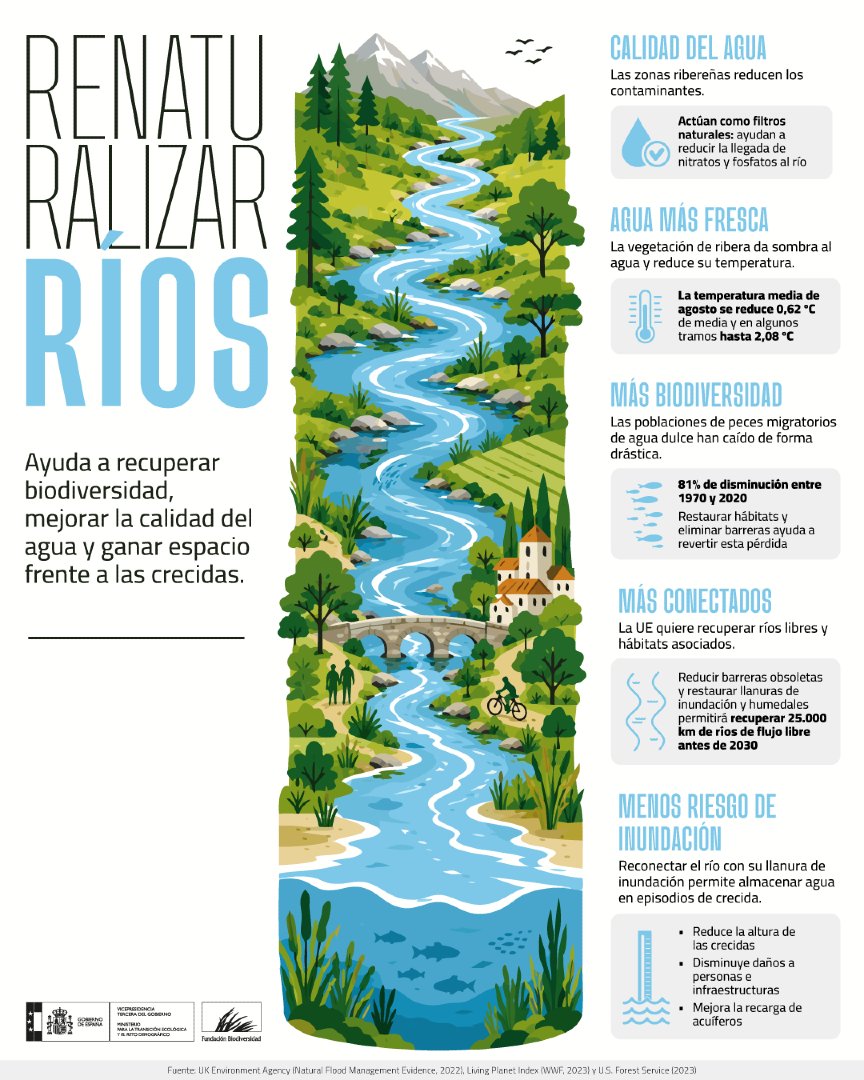 FBiodiversidad's tweet photo. Renaturalizar ríos es invertir en naturaleza, bienestar y resiliencia frente al cambio climático 🌍

💧 Impulsamos su recuperación y restauración con 36 #ProyectosPRTR en toda España

💰 74 M/€ del #PlandeRecuperación

Una buena relación entre ciudades y ríos es posible 🏙️💚🏞️ https://t.co/Uji2mVqGzC
