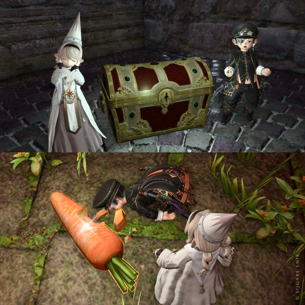 mpnut14's tweet photo. 最近はクレセントアイルがたのしい🥕 https://t.co/P0gmfcV8sn