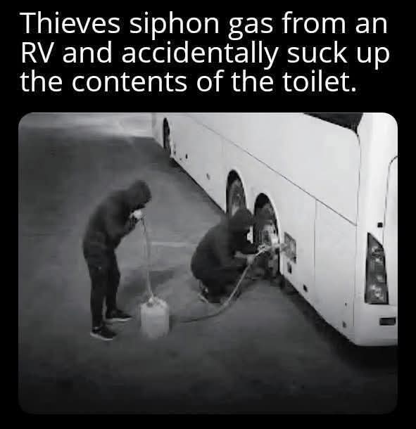 LouieKerr8's tweet photo. 💩🤢😂 https://t.co/MZ74TnFjpr