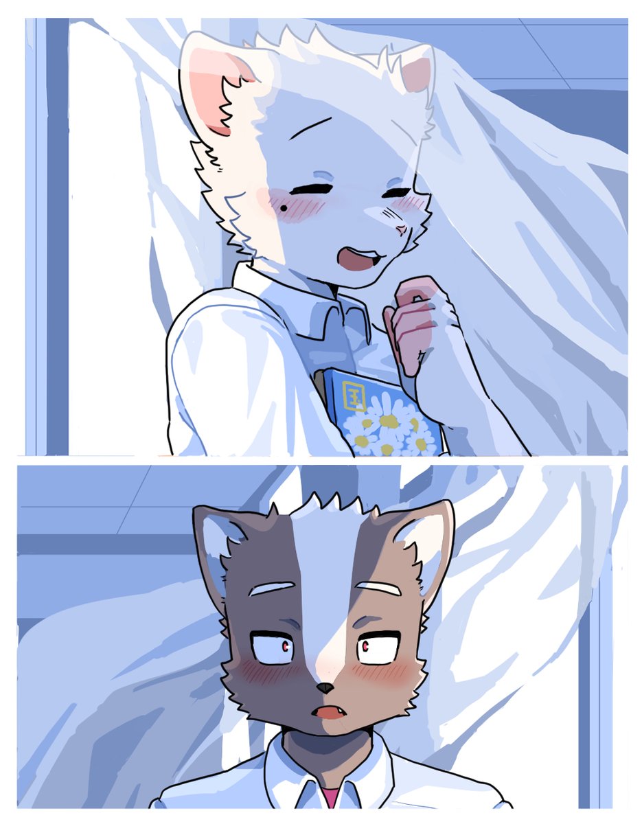 べえごま:🥤🐈👒 tweet media