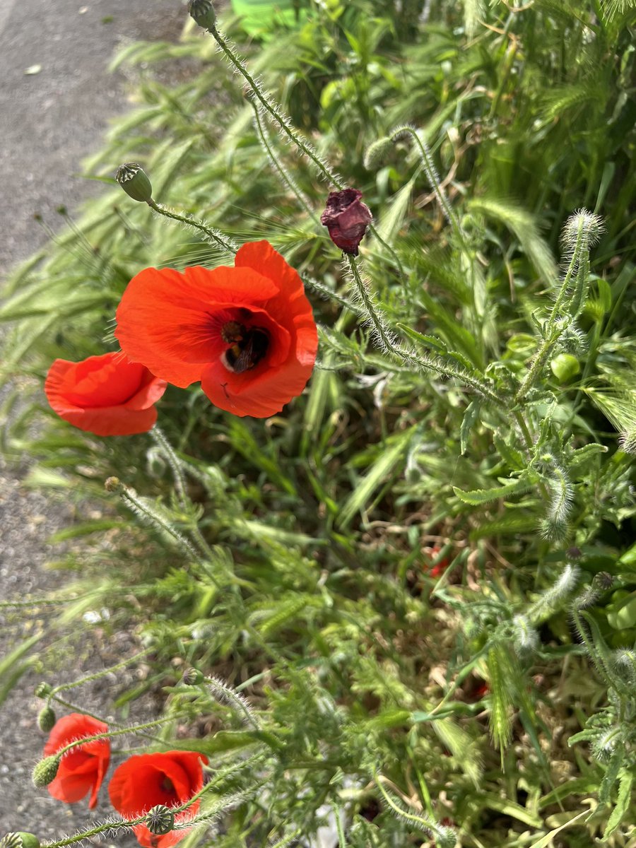 StageMeetsWorld's tweet photo. Wishing good friends @MormorJan @MogRagga @gerryccarroll @UKGiftHour @NewmanDian1426 @yvettetreasaden @PreciouslyW @lampshades78502 @DDCrochetDesign @ZebraMingo @saintdusty @HaltonHour @HourWelsh and more 💥 a very happy morning #ff https://t.co/fcZ5IbIazJ