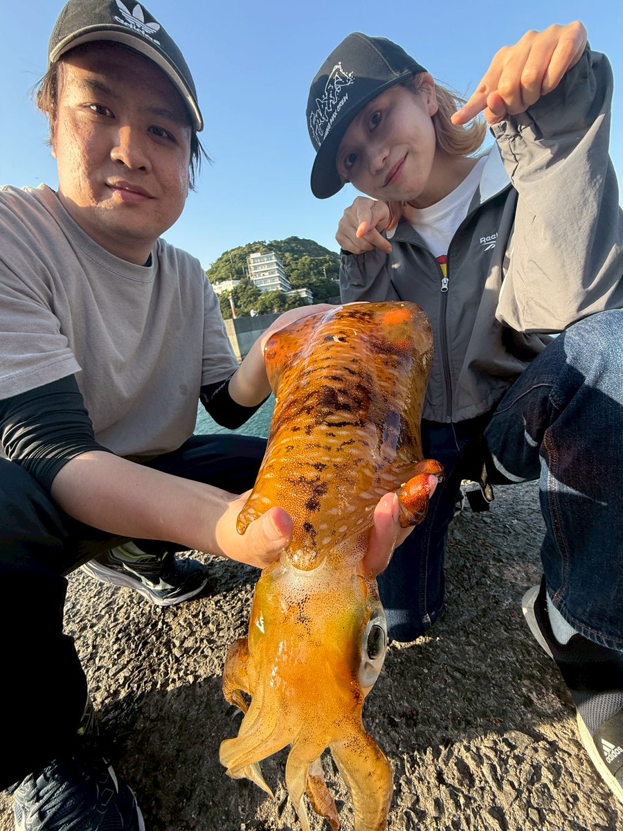 fishingmaxinfo's tweet photo. 【速報】昼間からアオリイカにマイワシ、デカアジが釣れています。田ノ浦漁港が今凄い！！！ https://t.co/uX5G4AM3S2 @YouTubeより 

マイワシにアオリイカ、今釣れています！！！
大急ぎでYoutubeにアップしました～😚🙌 https://t.co/caTpzsm0Fc