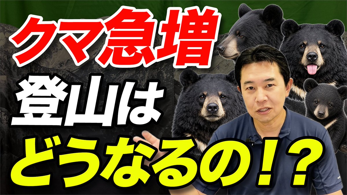 熊の電話 動画公開しました！ 今回は、なぜ熊のニュースが増えているのか、クマ