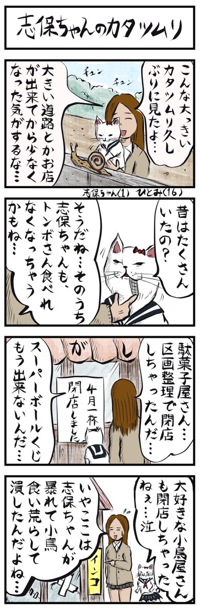 かに味噌 tweet media