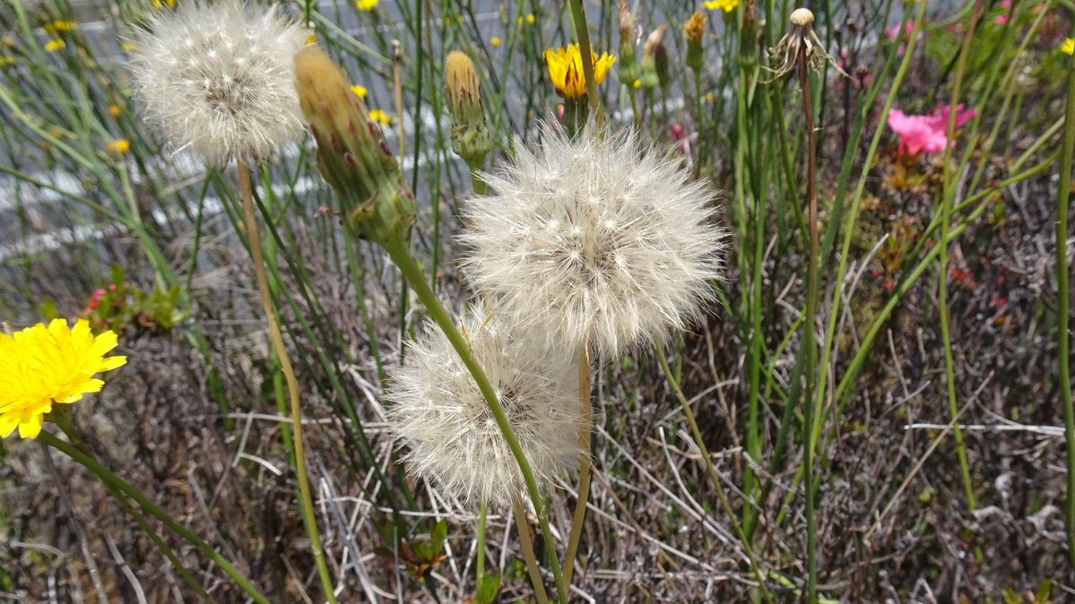 お城へ行こう🏯 tweet media