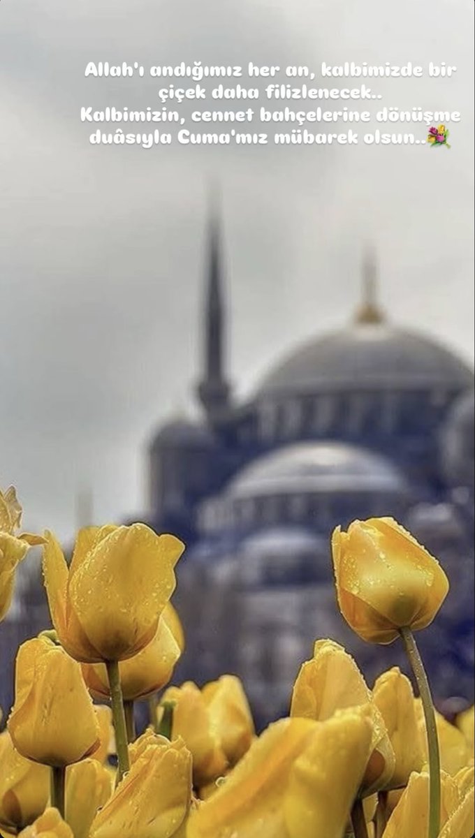 Semra__30's tweet photo. Allah'ı andığımız her an, kalbimizde bir çiçek daha filizlenecek..

Kalbimizin, cennet bahçelerine dönüşme duâsıyla Cuma'mız mübarek olsun..💐

#CumamızMübarekOlsun #HayırlıCumalar https://t.co/j50ZB3sLcI