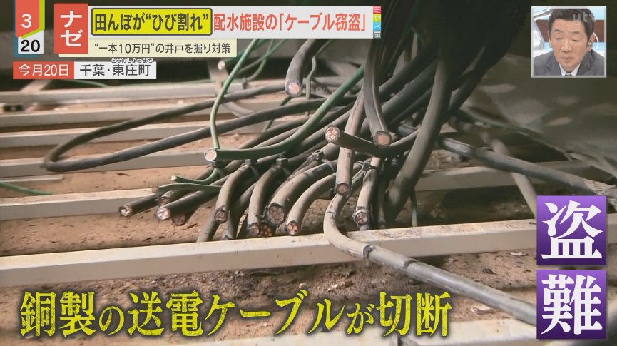 ゆるふわ怪電波☆埼玉 tweet media
