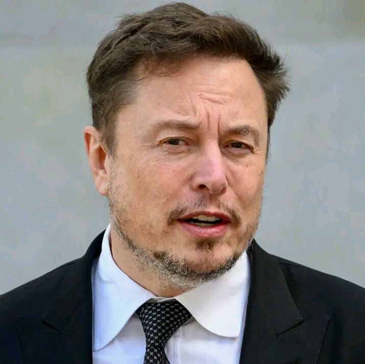 ElonScenario✨ tweet media